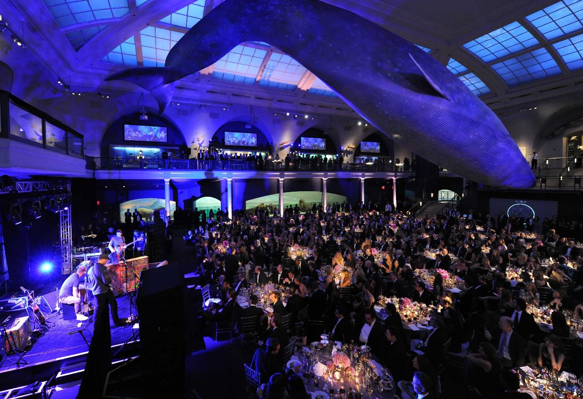 American Museum Of Natural History