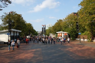 wemov14